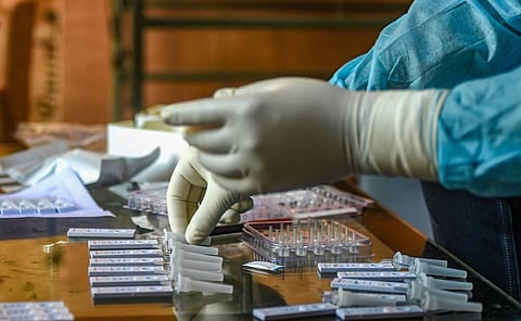 A medic arranges samples for COVID-19 rapid antigen testing in Srinagar. (Photo | PTI)