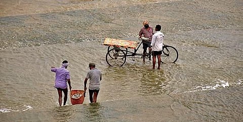 Fishermen catch a bounty when excess water was released from Prakasam Barrage in Vijayawada on Thursday I Prasant Madugula