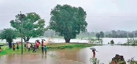 Agriculture fields submerged after the collapse of minor irrigation dam at Patraput under Mathili block on Friday | Express