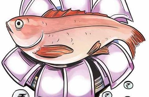 India's seafood export declines by 7.39 per cent in FY 2019-20