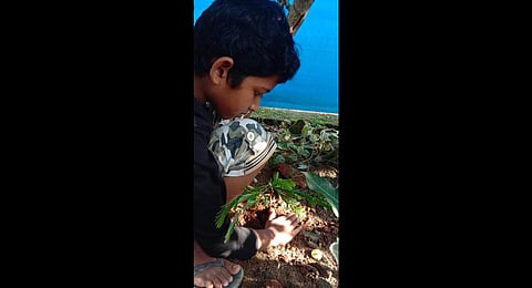 Pavan Nash planting the gooseberry sapling. (Photo | Express)