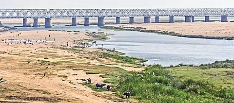 Rayalaseema region. Image used for representational purposes only.