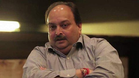 PNB scam accused Mehul Choksi (File Photo | PTI)