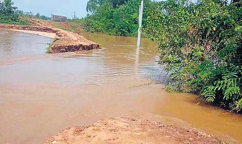 The breach in Paika river at Badabalikani panchayat | Express