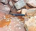 Water seeping out from the Kondapochamma project at Markook mandal on Monday