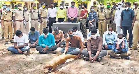 Officers and staff of Kawal Tiger Reserve in Telangana with the 10 accused from Mancherial and Asifabad districts and the live pangolin on Tuesday