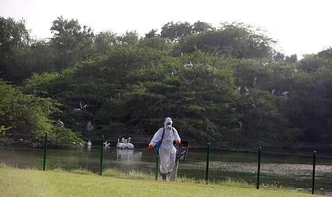 A worker sprays medicine inside Delhi zoo. (Photo | EPS)