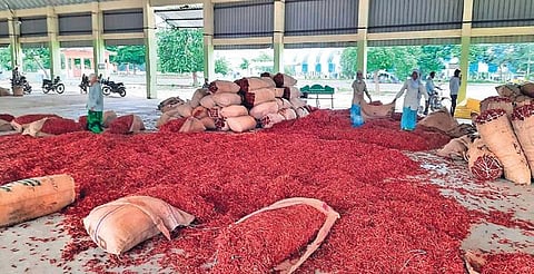 Workers arrange the loads of red chilli brought by the farmers, at the Enumamula agriculture market in Warangal on Tuesday