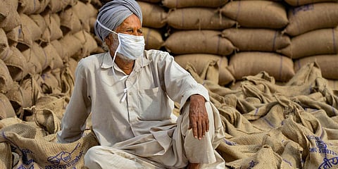 Farmers in Punjab have expressed apprehension that the bills would pave way for dismantling the minimum support price system, leaving them at the 'mercy' of big corporates. (File photo| PTI)