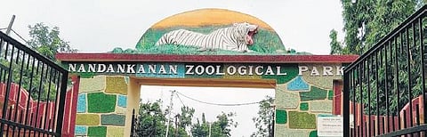 Nandankanan zoo