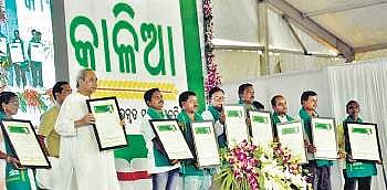 CM Naveen Patnaik during KALIA Samabesh at Garabandha (File Photo |EPS)