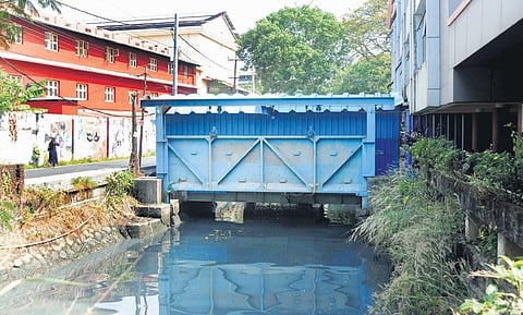 The petti and para water-regulating system near the Revenue Tower in Kochi | A Sanesh