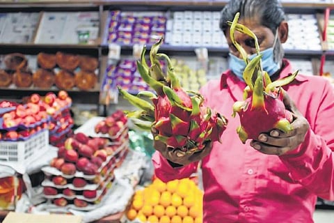 Dragon fruitDr