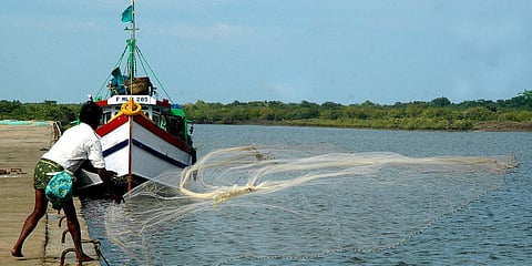 A fisherman goes about his business at the Machilipatnam Port in Krishna district. (File photo| Ch Narayana Rao, EPS)
