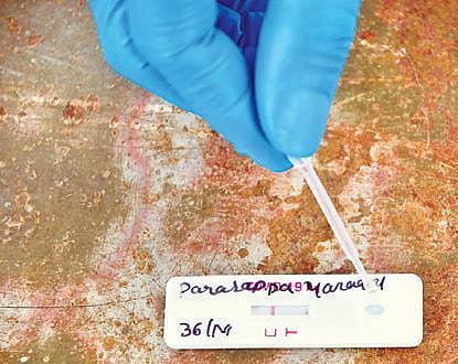 Recovered Covid patients may be immune to new virus strains