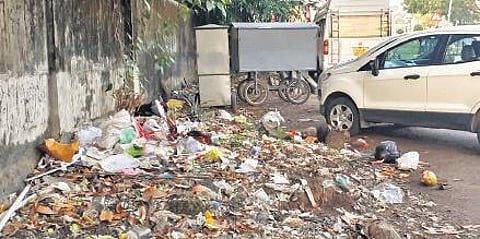 Garbage dumped near the walkway