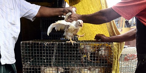 For representational purposes (Photo | Debadatta Mallick, EPS)