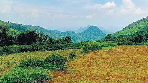 Niyamgiri