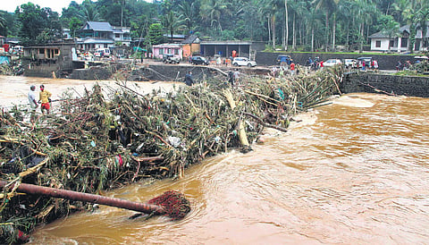 Tree branches and other debris deposited on Koottikkal Chappath causeway after the water level in the Pullakayar river dropped on Sunday, Oct 17, 2021. (Representational Photo | EPS, Vishnu Prathap)