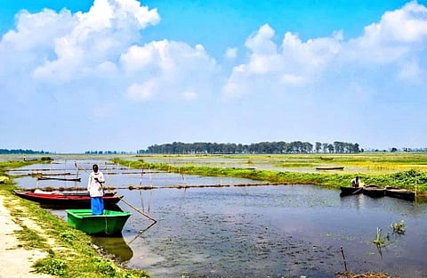 Kabal Taal wetland of Bihar recently declared as the 1st Ramisar site. (Photo | Dept secratary Twitter)