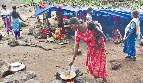 Tribals belonging to the Kadar community living in makeshift tents made of plastic sheets and twigs | Albin Mathew