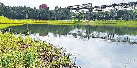 A water body polluted by oily discharge released from MRPL at Thokur in Mangaluru.