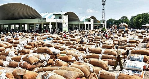Cotton farmers from erstwhile Warangal district and Khammam have started arriving at the Enumamula agriculture market. (File photo| EPS)