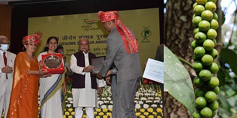 Left, N Poonacha receiving the award at the ceremony in New Delhi. Right, Snapshot of the indigenous 'Adi Pepper' spikes.