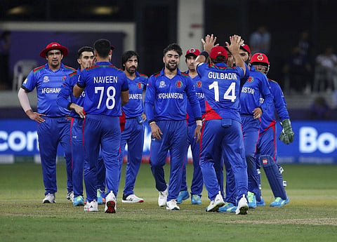 Afghanistan cricket team (Photo | AP)