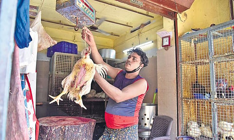 A worker at a chicken outlet in Edappally market. (Representational image | Albin Mathew, EPS)