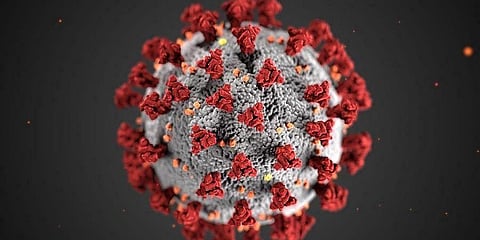 Coronavirus (Photo | AP)
