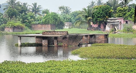 Waterbodies in Tamil Nadu gasping for life