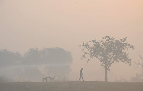 Image used for representational purpose. (Photo | EPS, Naveen Kumar)