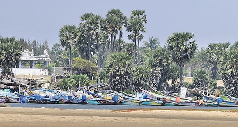 A fishing village at Kaliveli river mouth in Tamil Nadu | DEBADATTA ADATTAADATTA ADATTA MA LLIC