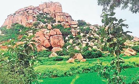 Will develop Anjanadri Hill on lines of Ayodhya: Bommai