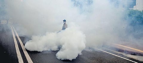 The national capital recorded two deaths due to dengue in 2019, four in 2018, and 10 each in 2017 and 2016.
