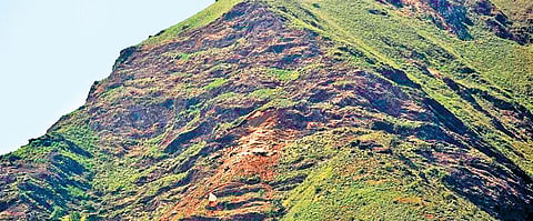 Greens see red over Karnataka govt opposing Kasturirangan report