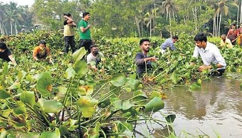 Volunteers join hands to save Vellayani lake