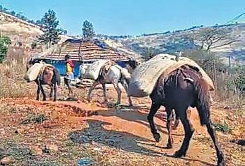 Locals carrying essential commodities on horses to Jumadang.