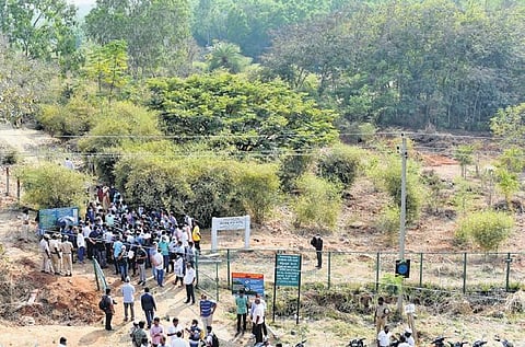 Caught on the backfoot, the government has temporarily stopped work on the tree park at Turahalli, and has deferred a final decision | Nagaraja Gadekal
