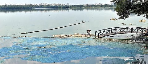 A view of the polluted Hussainsagar. (File photo | EPS/S Senbagapandiyan)