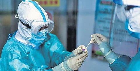 A healthcare worker collects a swab sample for Covid-19 testing. (File Photo | PTI)