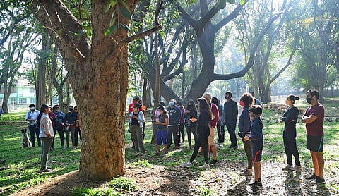 Participants in the walk got a first-hand idea of the history of trees from naturalist Kavya Chandra. (Photo | Ashishkrishna HP, EPS)