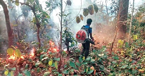 A forest staff uses an air blower to prevent spread of the fire in Similipal Tiger Reserve. (Photo | EPS)