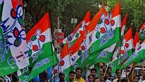 TMC Flags
