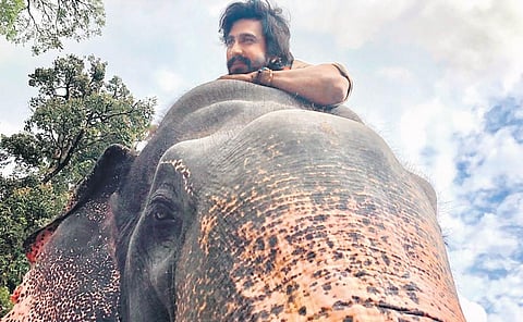 Vishnu had no time to do any research or prepare himself for this. But he had full faith in the Kumki director.