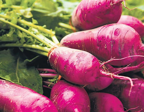 Turning to turnip for therapeutic treats