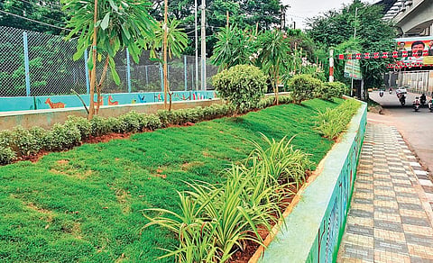 The rain garden project underneath Begumpet flyover. (Photo| EPS)