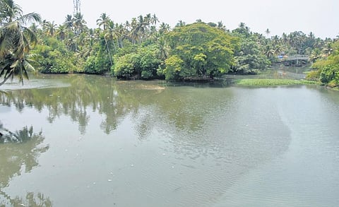 The stretch at Thiruvallam where the Paravathy Puthanar and Karamana river joins has become highly polluted with all sorts of waste dumped by the public. The Karamana river has been declared as the mo