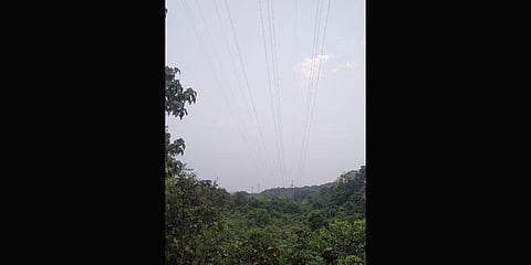 Greens irked over power line through reserves
